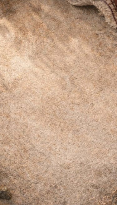 Fondo con piedras, flores secas y tela en colores naturales