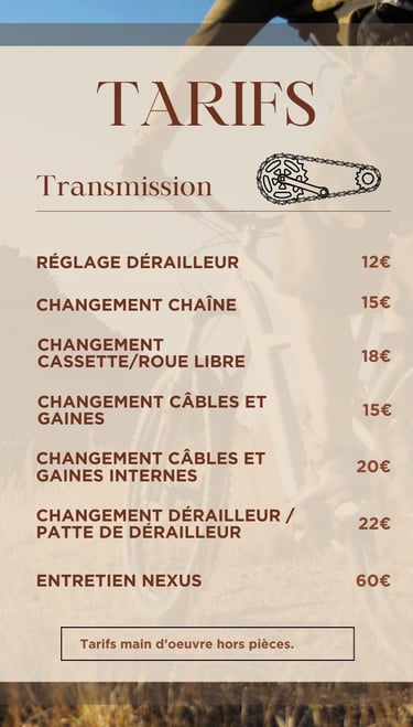 Réglage dérailleur, changement chaine, entretien nexus, a domicile Angers