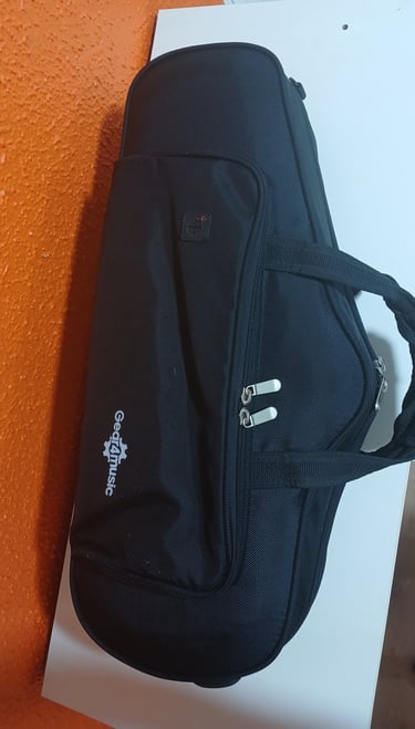 Étui saxophone alto
