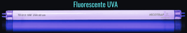 fluorescentes uva para captura de moscas en la industria alimentaria