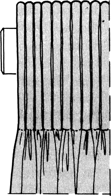 Schéma représentant une tête de rideaux flamande haute