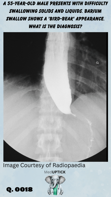 a gastrograffin image with a birds beak of an esophagus