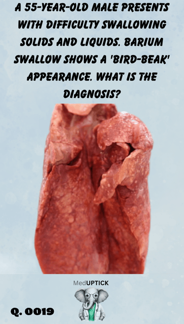 photograph of a set of lungs