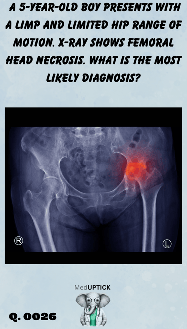 a pelvic x-ray with a hip highlighted in red