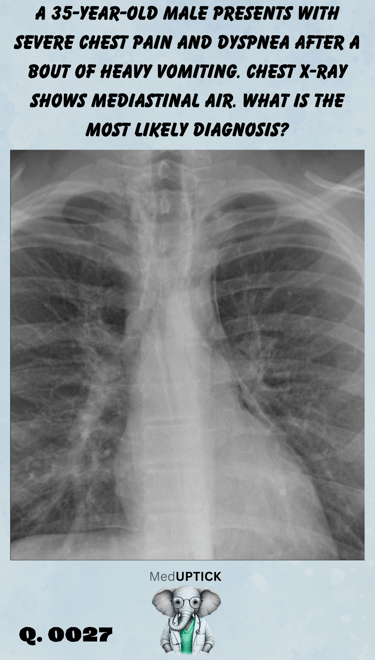 a chest x-ray with mediastinal air