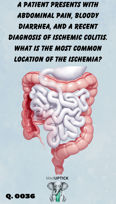 a 3-D picture of a gastrointestinal tract rendering