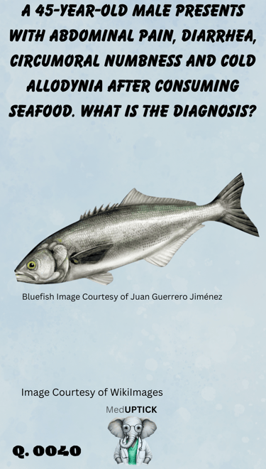 an image of a bluefish