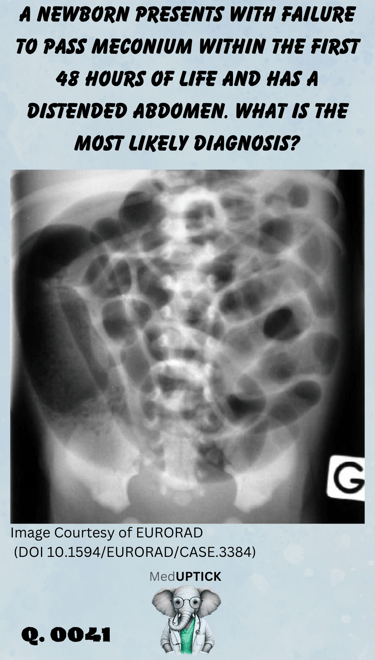an x-ray image of distended small intestines