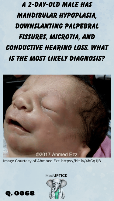 a neonate with mandibular hypoplasia, downslanting palpebral fissures, and microtia