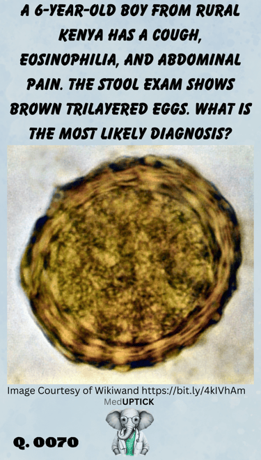 stool microscopy of a brown trilayered egg