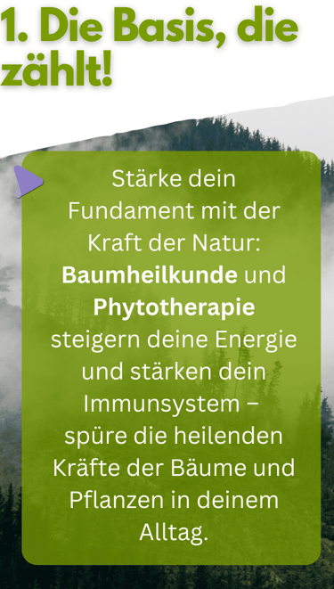 Die Basis zählt - Sanapendium