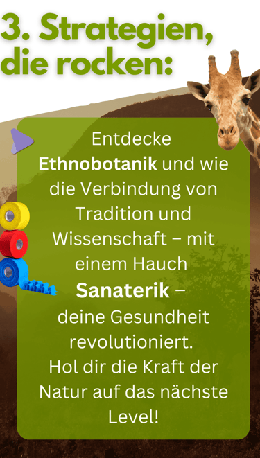 Strategien die rocken - Sanapendium