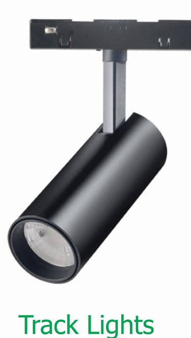 Spot Track Light