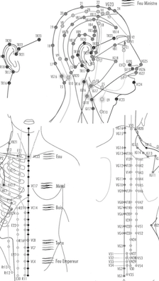 schéma dessiné du corps humain parcouru des méridiens de la médecine chinoise