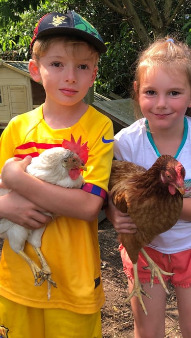 stages d'été avec animaux Floreffe
