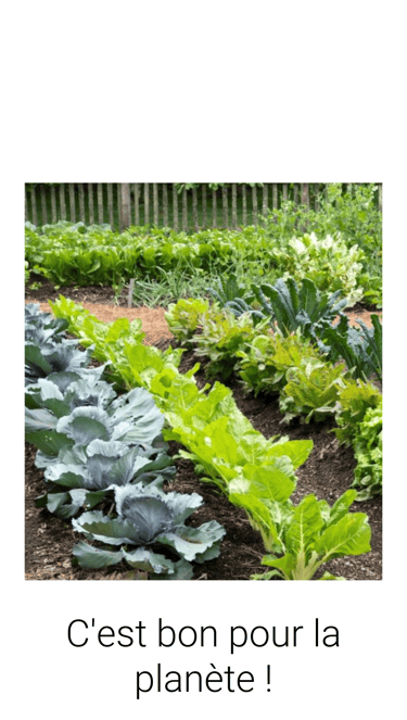 a garden with a variety of vegetables and vegetables
