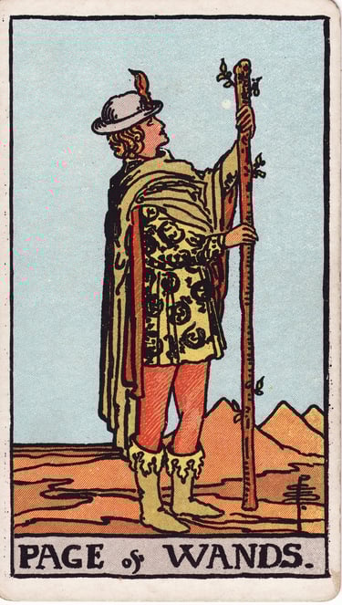 Page of Wands meaning upright and reversed tarot card reading