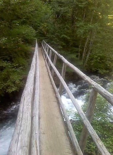 Eugene, OR - Footbridge across McKenzie River is 1/2 a log 30 inches wide heading to Sahalie Falls
