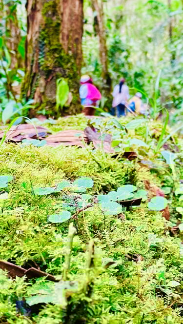 Naturaleza