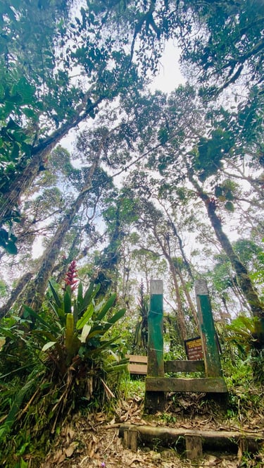 Naturaleza, reserva natural