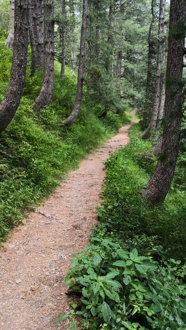 Miranjani track