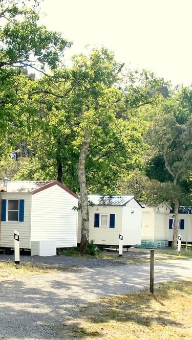 photo de Mobil-Home du camping les chênes dans les Landes