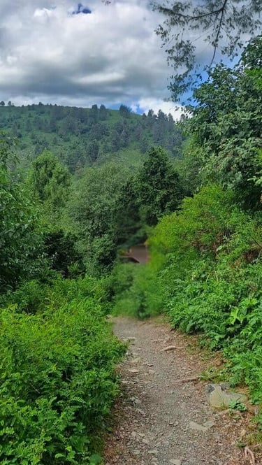 Miranjani track 