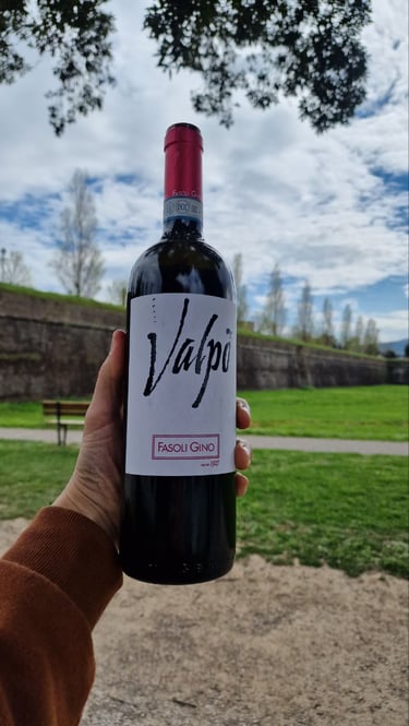 Valpolicella Ripasso superiore biologico per ristoranti