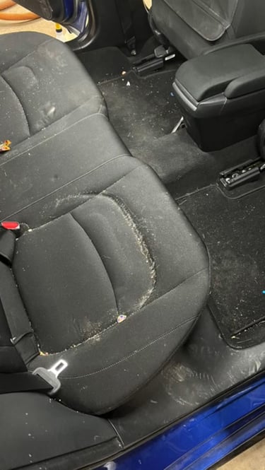 Voiture intérieur avant lavage