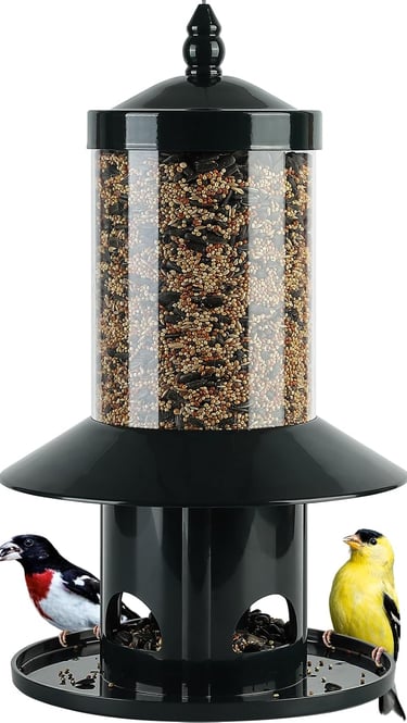 Hanging black metal bird feeder filled with mixed birdseed featuring a finch and woodpecker feeding.