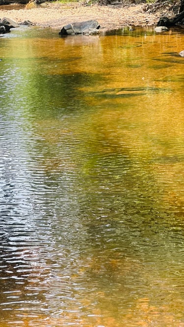 Atrações Rancho Famiglia Nonna