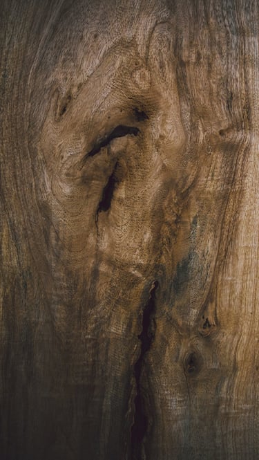 arbre noeud bois comportement limitant therapie breve denouer