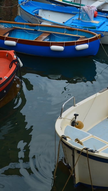 mare con delle barche attraccate