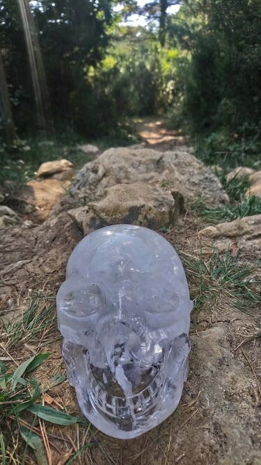 crâne cristal skull