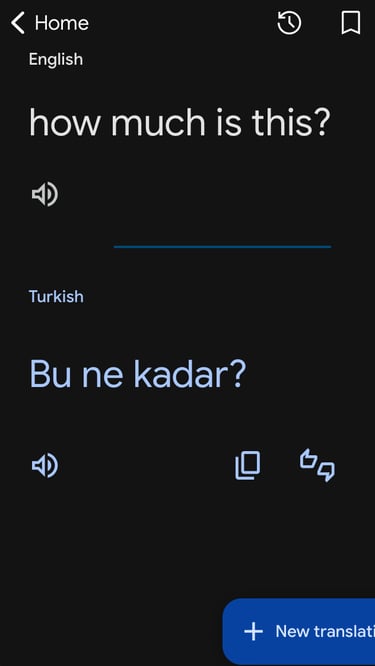 google translate app