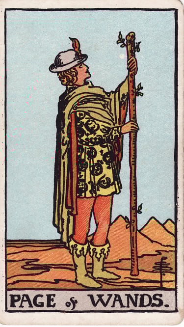 Page of Wands Tarot Card Meaning Reading Description – Discover the meaning of the Page of Wands