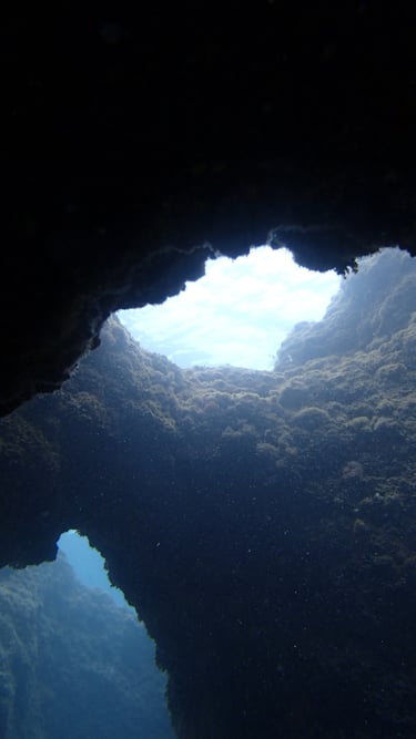 Underwater landscape