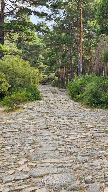 Time Travel on Roman Roads photographed by Nikoru