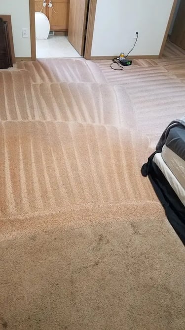 a carpet that has been partially cleaned showing before and after results