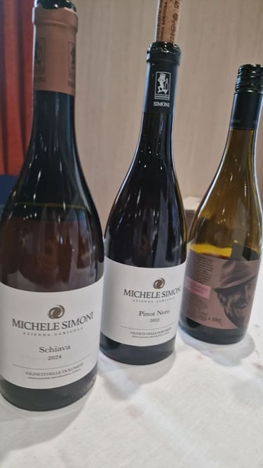 Vino Trentino Michele Simoni per carta vini