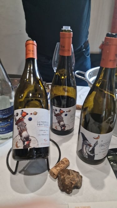 Vino Francese Valle della Loira selezione per ristoranti enoteche