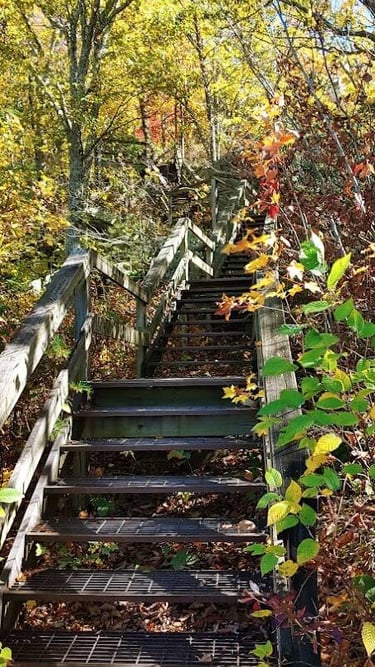 Chatsworth, GA - Metal stairs down to the Overlook platform