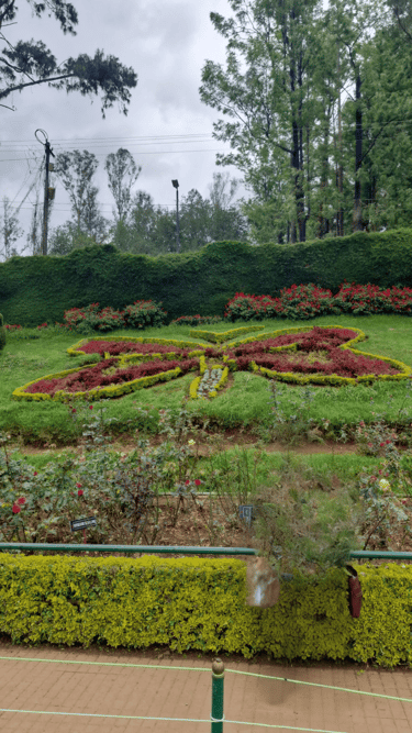 Image of the Rose Garden