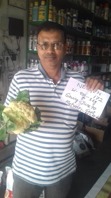 A Dealer holding a NXG cauliflower and a seed variety sign in an agricultural supply store.