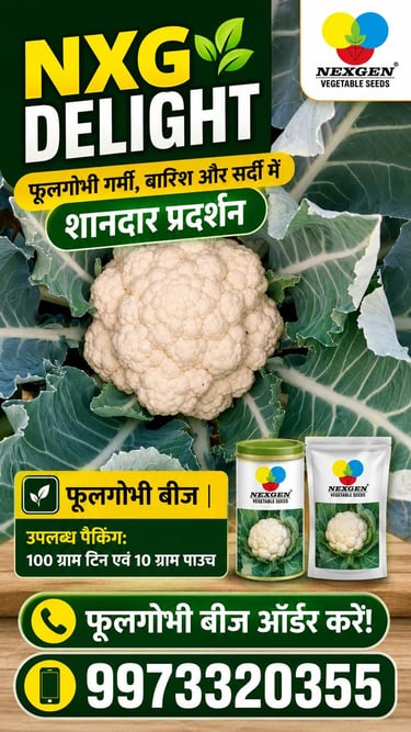 NXG Delight hybrid cauliflower seeds by Nexgen Vegetable Seeds in 100g tin and 10g pouch packaging.