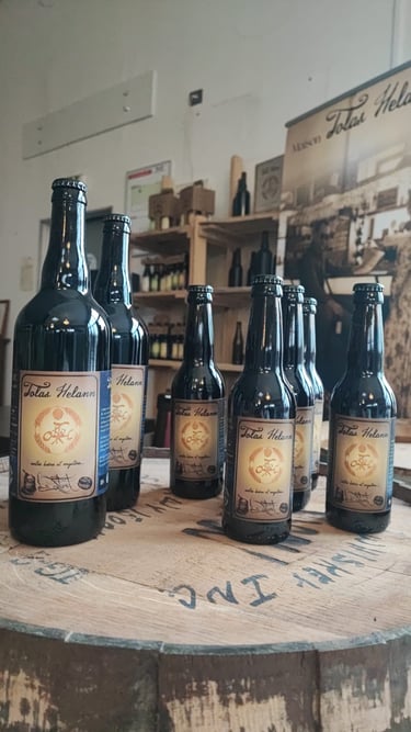Bière Tolas Helann Stout