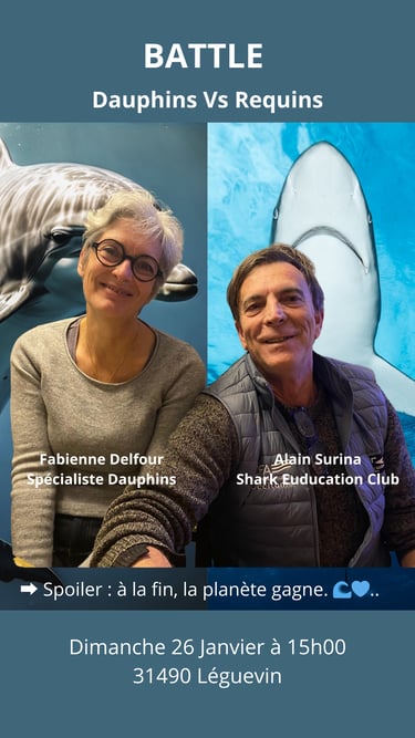 fabienne delfour alain surina battle dauphin vs requins