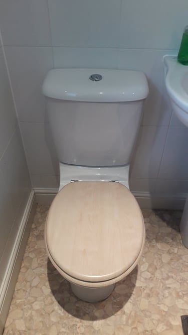 leaking toilet in High Bickington