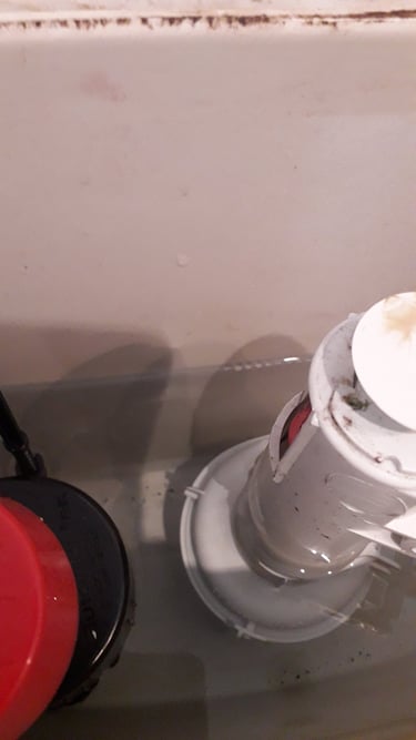 leaking toilet in Umberleigh