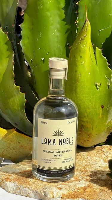 a bottle of liquor with a cactus plant in the background